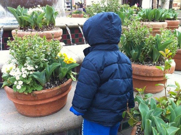 2011.1.29 - Looking at the plants