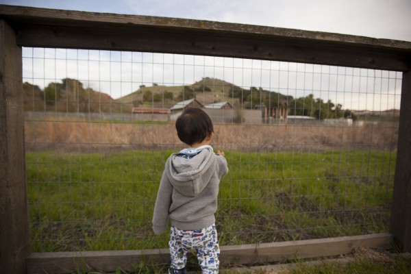 2011.2.4 - Looking through the fence