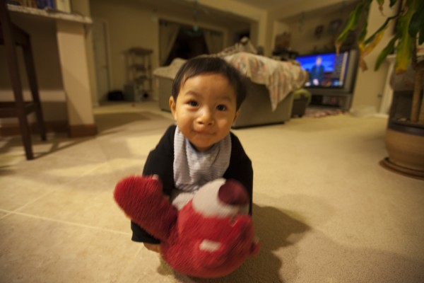2011.2.8 - Tackling Lotso