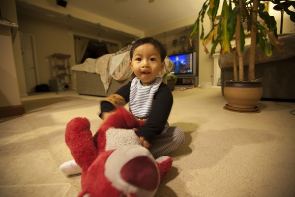 2011.2.8 - Lotso knocked down