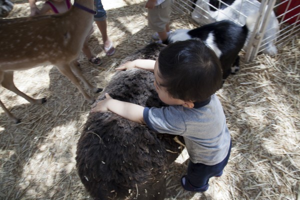 2011.7.23 - Hugging the animal