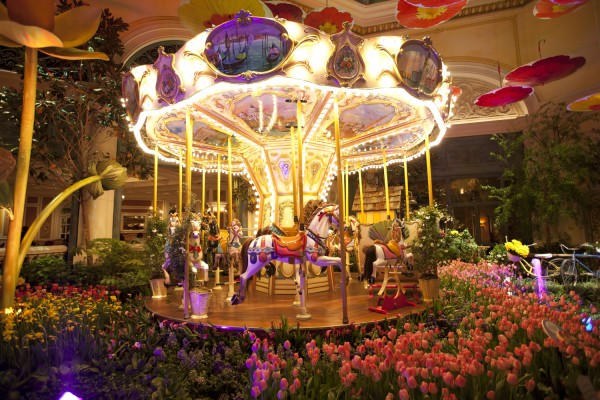 2012.3.26 - Carousel