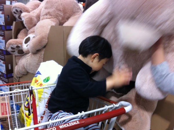 2012.4.27 - Big Bear Fight