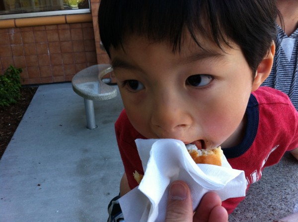 2012.5.6 - Donut