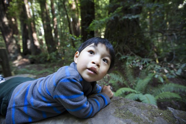 2012.7.14 - Something down there