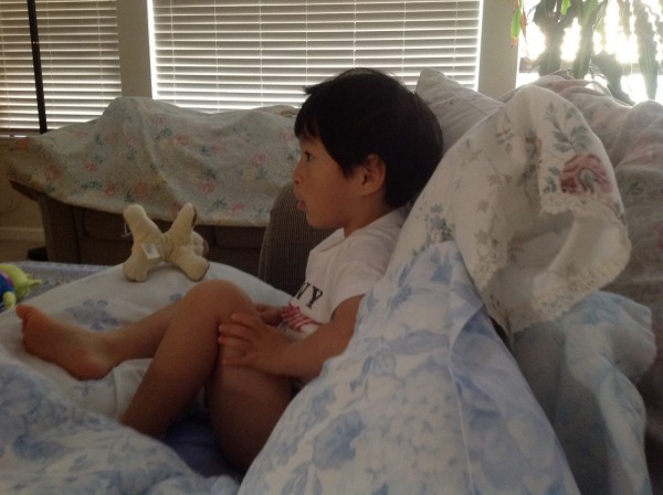 20120811ablog