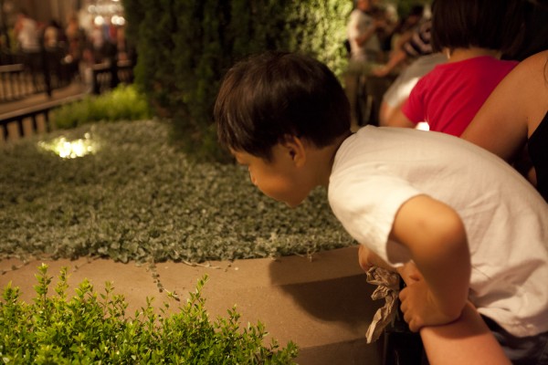 2012.9.18 - Ants