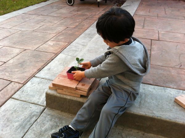 2012.10.10 - Adjusting plant