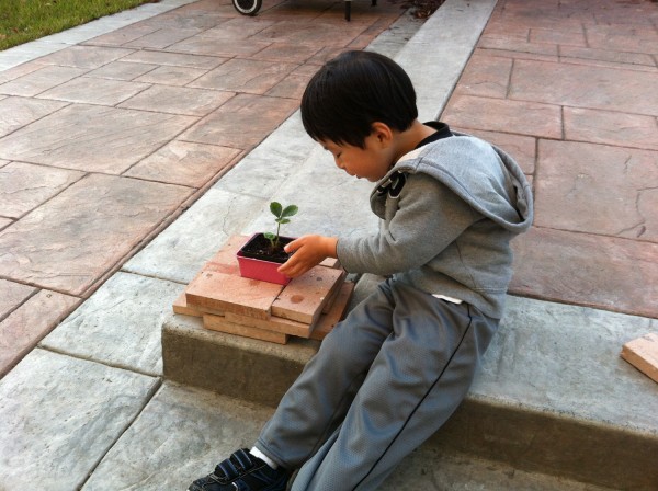 2012.10.10 - Snug Brick Fit