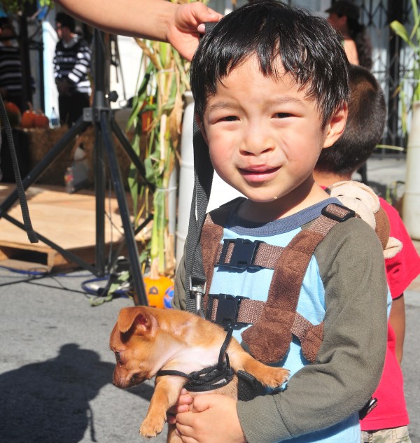 2012.10.28 - Puppy
