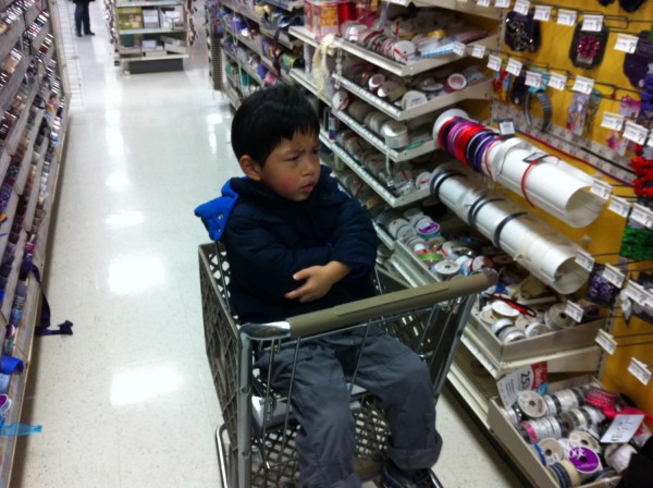 2012.12.16 - Cart