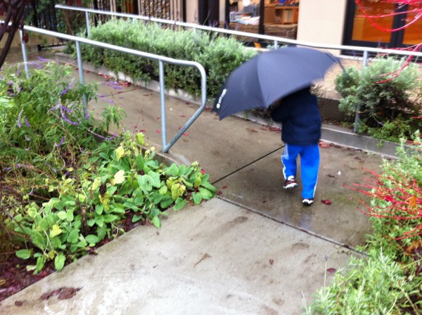 2012.12.18 - Umbrella