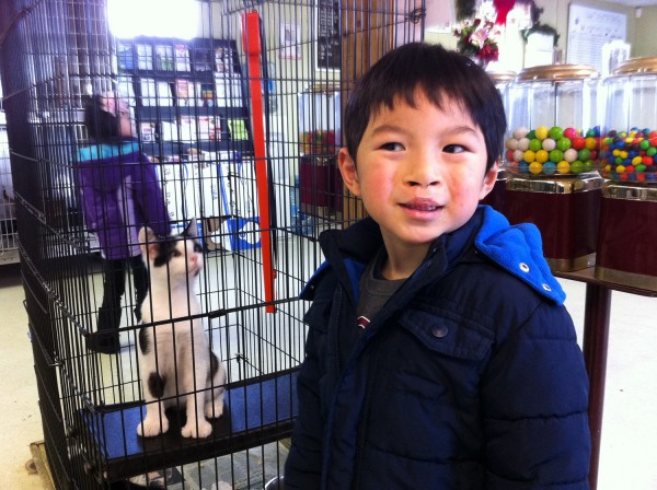 2012.12.22 - Kitten