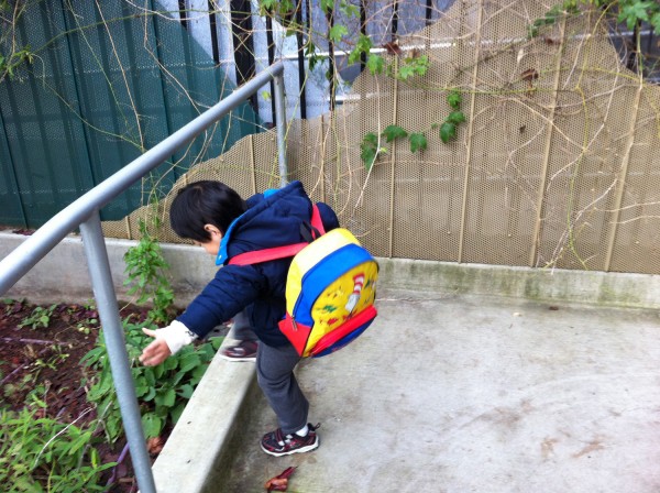 2013.1.9 - Backpack