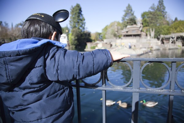 2013.1.12 - Ducks