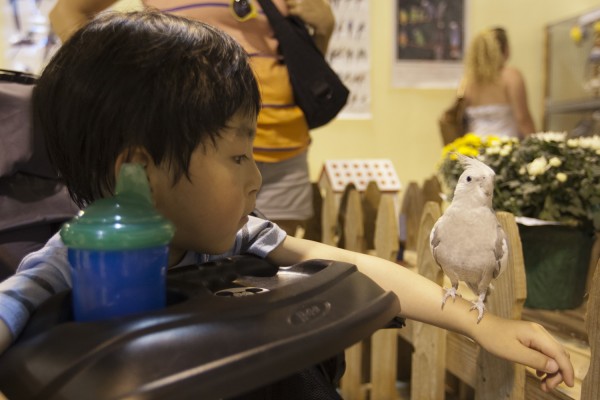 2013.7.25 - Bird