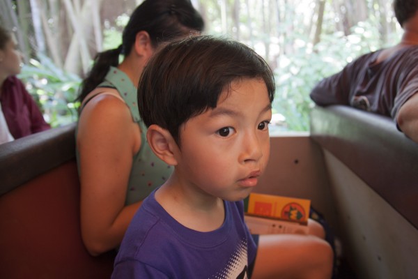 2013.9.1 - Safari