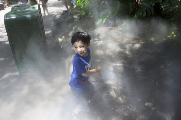 2013.9.1 - Mist