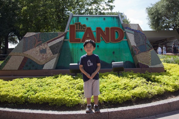 2013.9.4 - The Land