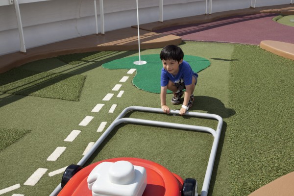 2013.9.8 - Lawnmower
