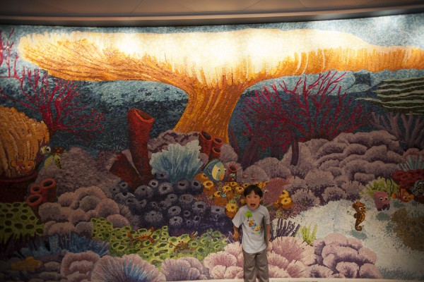 2013.9.10 - Reef