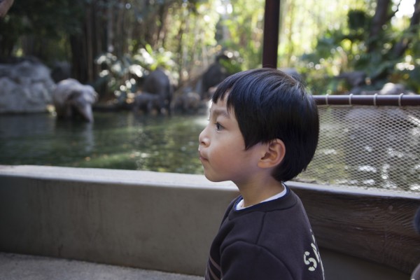 2014.1.11 - Jungle Cruise