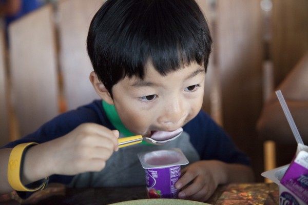 2014.8.28 - Yogurt