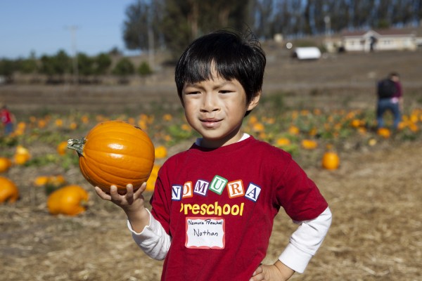 2014.10.24 - Small Pumpkin