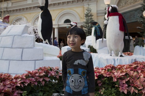 2014.12.9 - Penguins