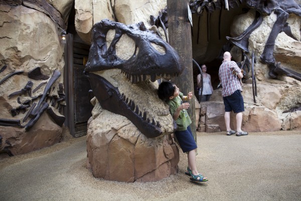 2015.5.17 - TRex