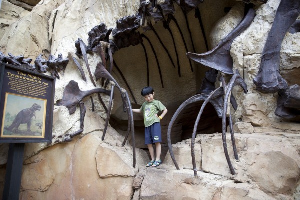 2015.5.17 - TRex Stomach
