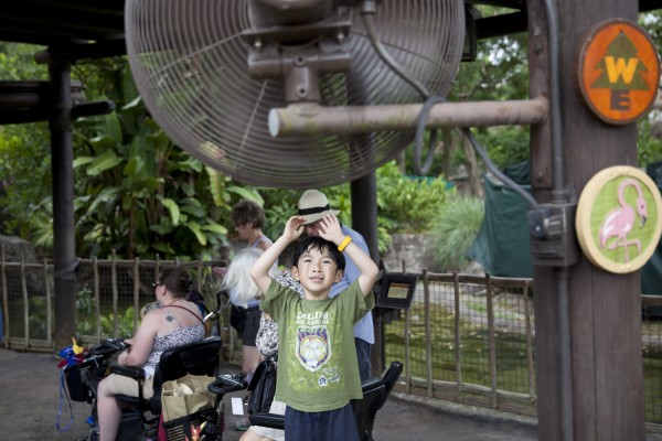 2015.5.17 - Cooling Off