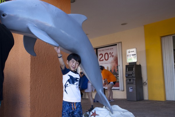 2015.5.28 - Dolphin