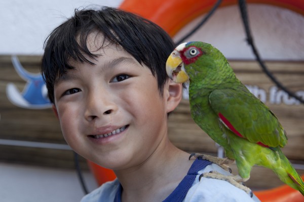 2015.5.28 - Parrot 1