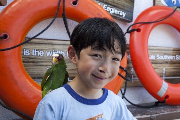 2015.5.28 - Parrot 2