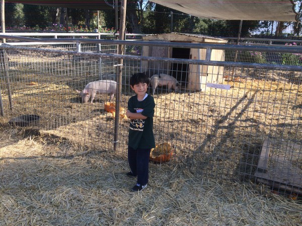 2015.10.22 - Animals