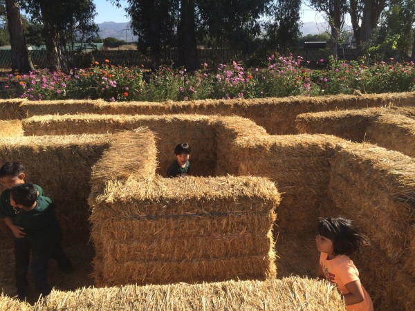 2015.10.22 - Going through Maze