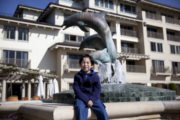 2016.3.24 - Dolphins