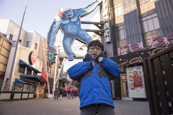 2017.1.1 - Gorilla