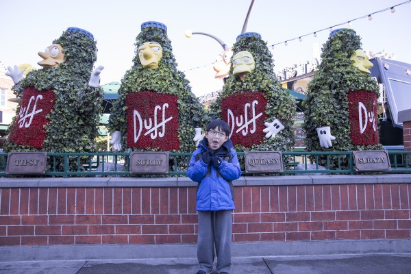 2017.1.1 - Duff